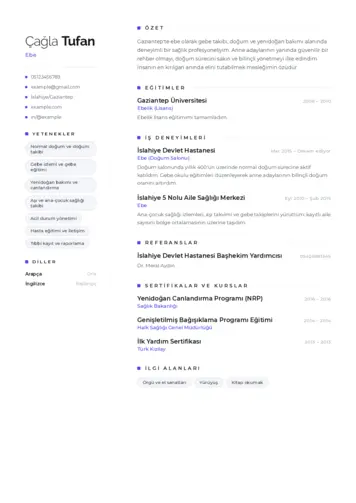 Ebe Cv Örnekleri cv indir